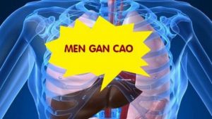 men-gan-cao-canh-bao-dieu-gi